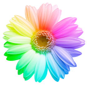 Монобукеты